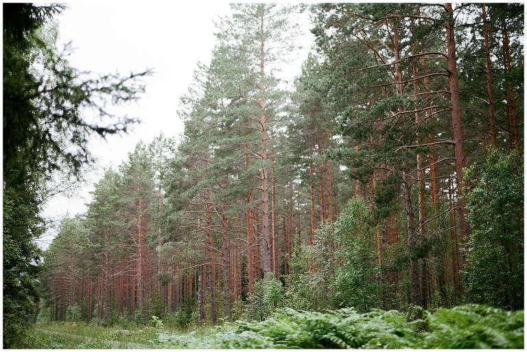 forest wedding in the swedish countryside