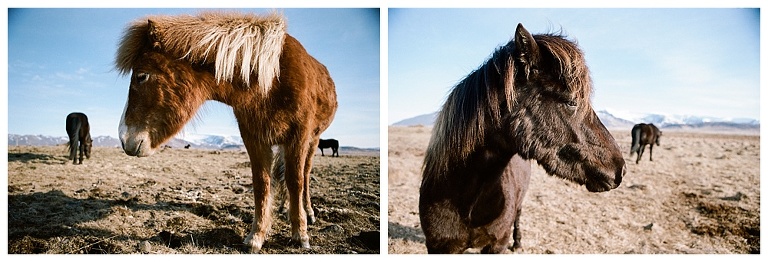 Travel Photography in Iceland