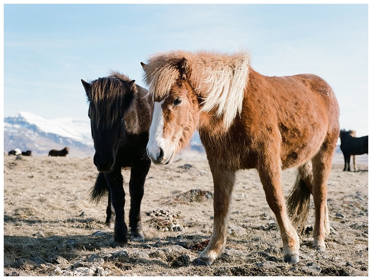 Travel Photography in Iceland