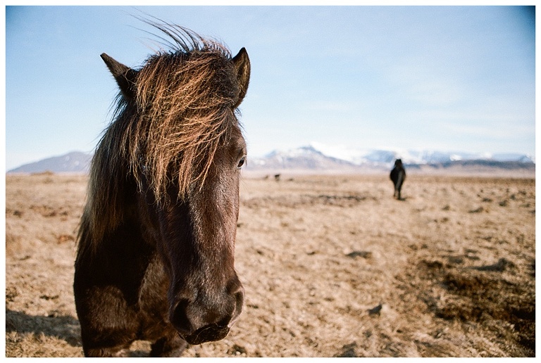 Travel Photography in Iceland