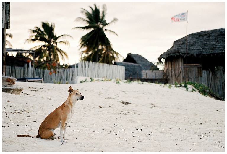 Travel Photography in Zanzibar