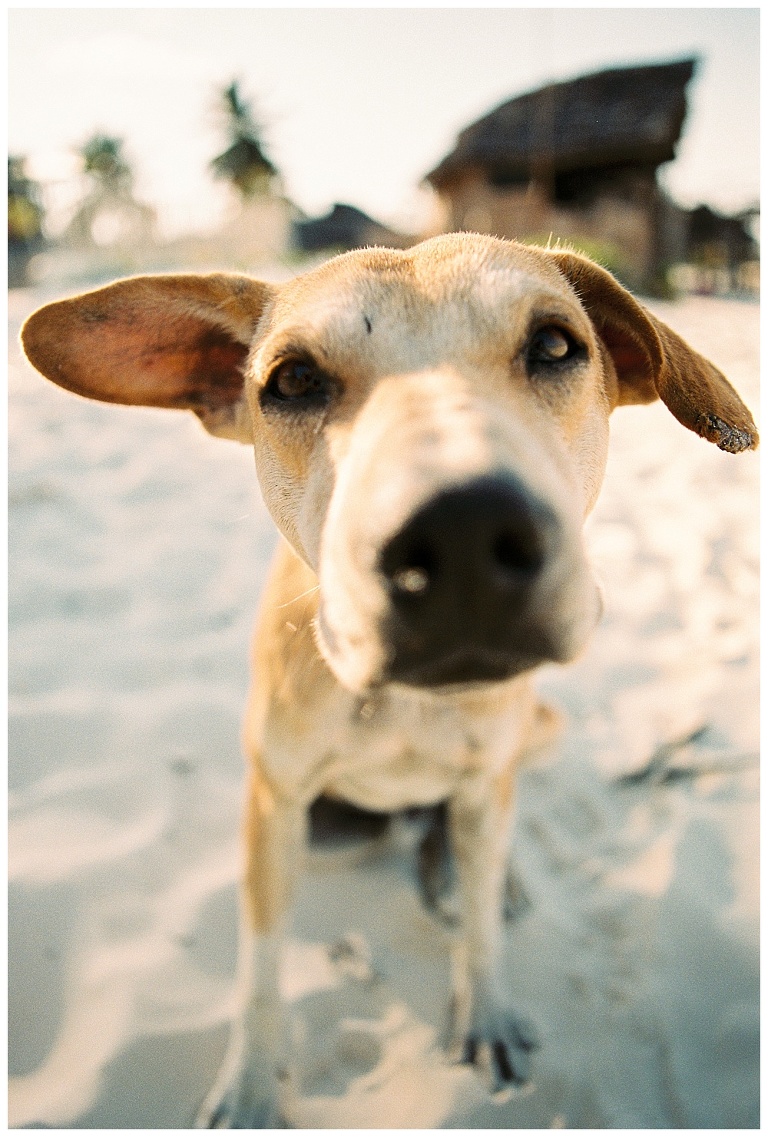 Travel Photography in Zanzibar