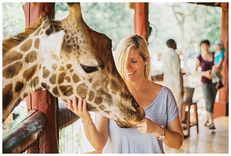 photographing giraffes