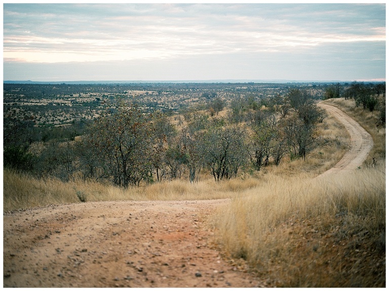 Ruaha National Park