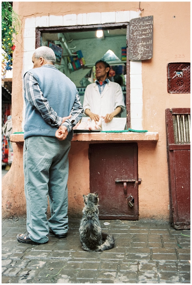 Morocco on film